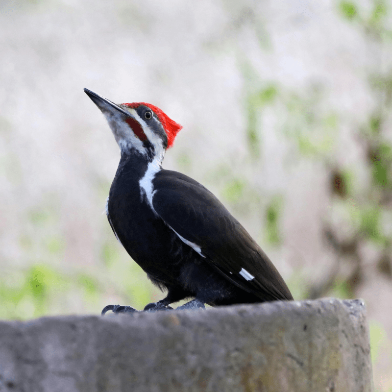 April Hiking Devotional