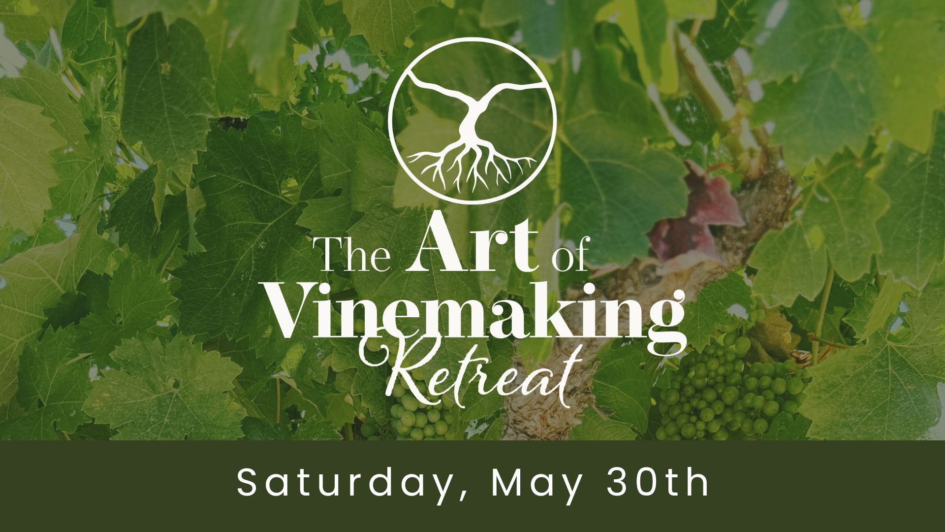MAY 30: The Art of Vinemaking retreat