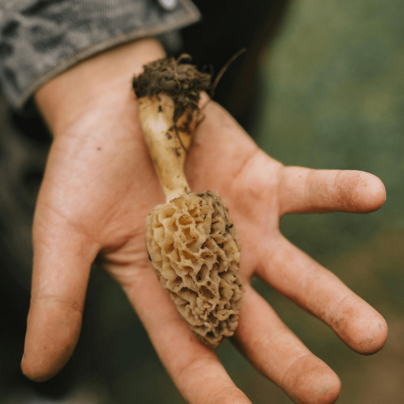 May Hiking Devotional